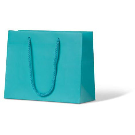 Laminated Matte Petite Paper Bag - Aqua